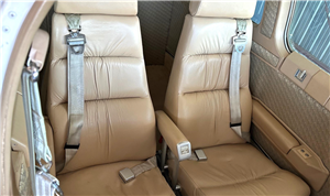 1988 Beechcraft Bonanza F33 A