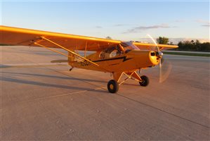 2006 American Legend AL-11 Cub